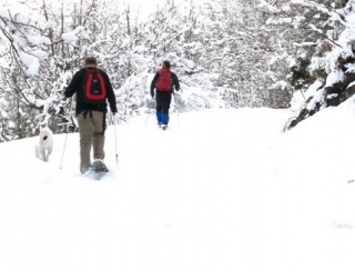  Ruta con raquetas de nieve en invierno